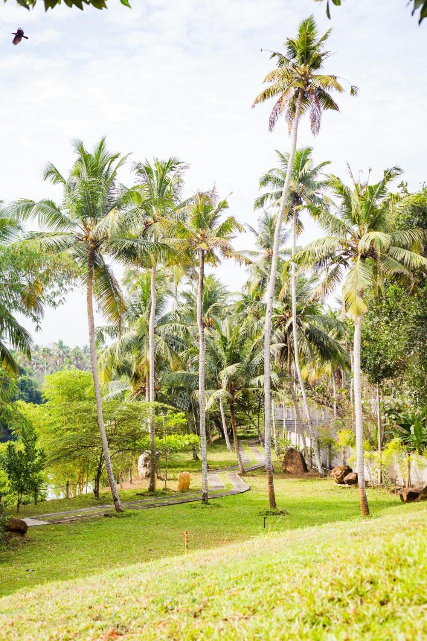 Mekosha Ayurveda Spa Suites Retreat & Resort Attingal エクステリア 写真