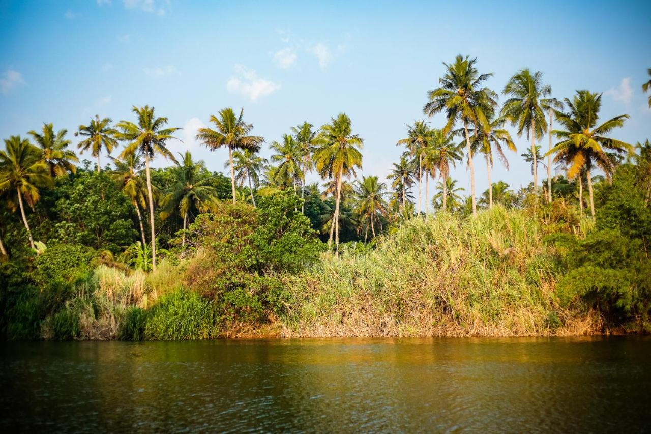 Mekosha Ayurveda Spa Suites Retreat & Resort Attingal エクステリア 写真